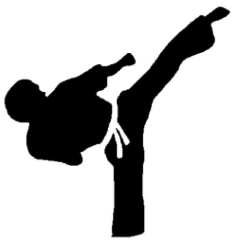 Black silhouette of a martial artist executing a high side kick with white belt, against white background.