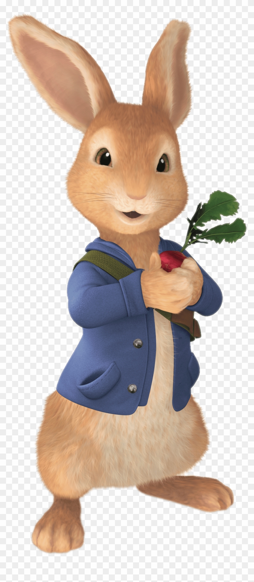 Free peter rabbit, Download Free peter rabbit png images, Free ClipArts