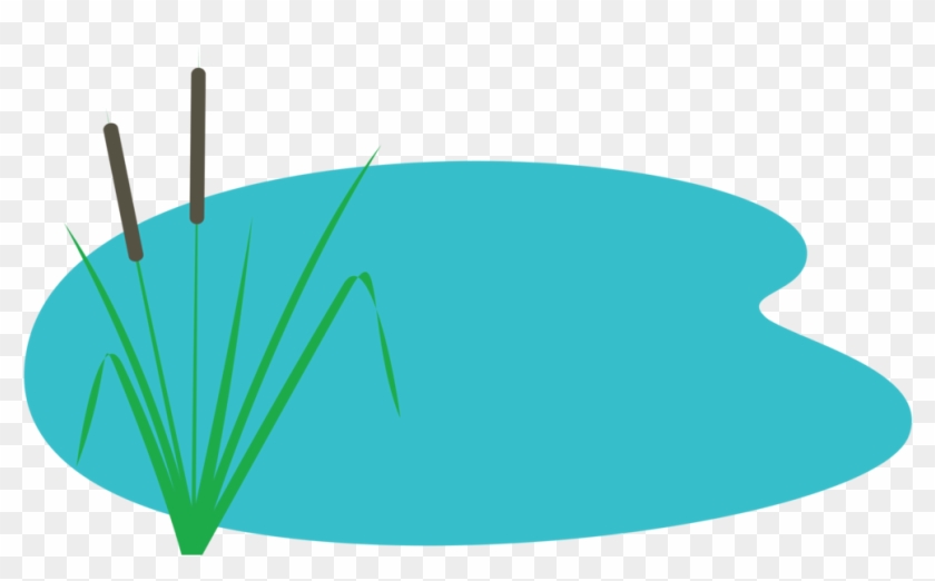 A stylized illustration of a small blue pond with green reeds and brown cattail stalks growing from the left edge.