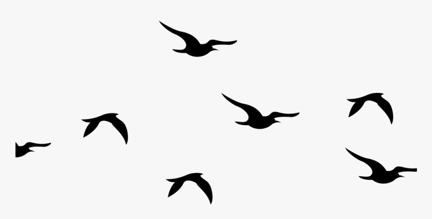 Silhouettes of seven birds in flight against a plain white background, captured mid-wingbeat in dynamic formation.