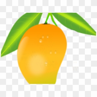 Ripe yellow mango with green leaves on transparent background, glossy surface with water droplets.