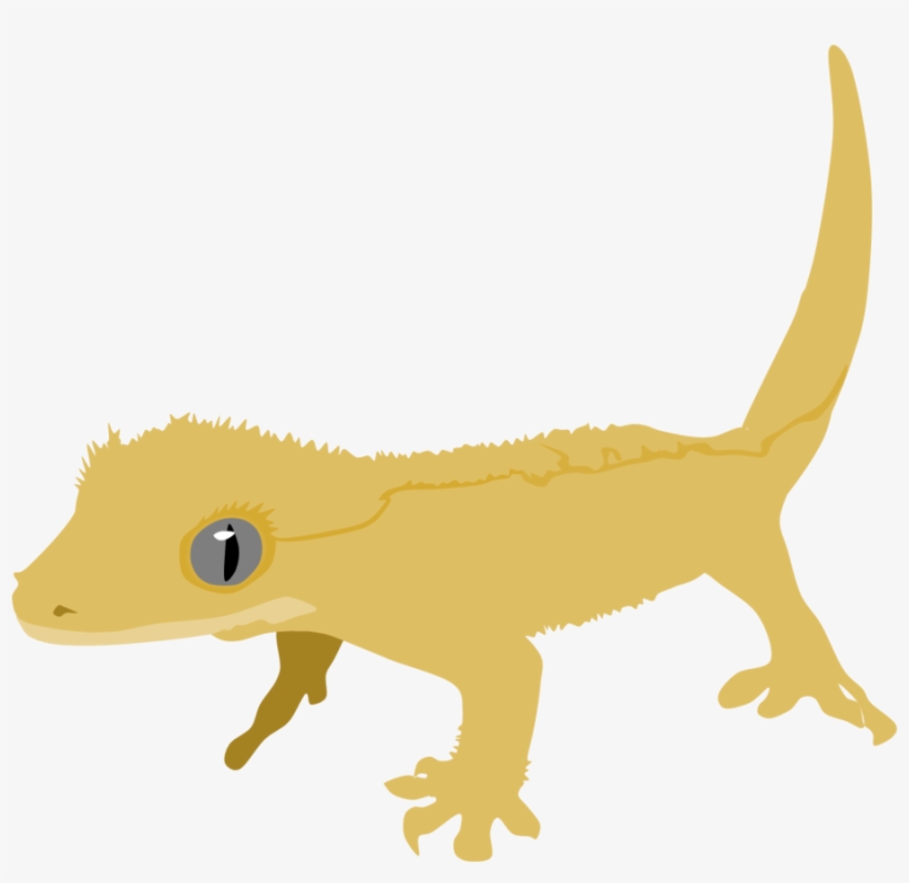 Illustration of a yellow crested gecko with large eyes and textured skin, shown in profile against a white background.
