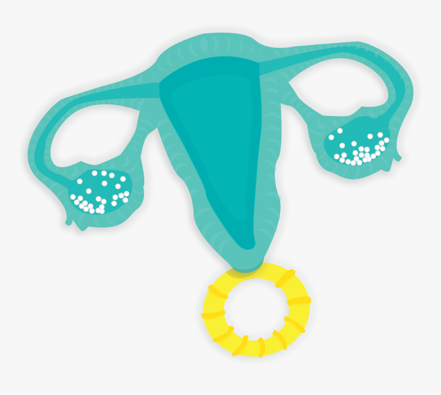 Royalty Free Uterus Clip Art Vector Images