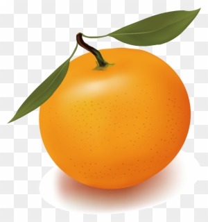 A fresh, vibrant orange with two green leaves and a stem, isolated on transparent background.