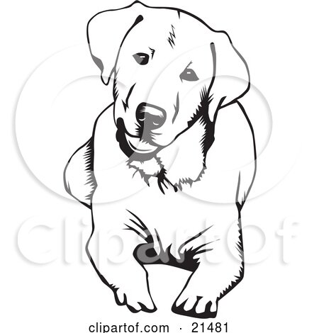 Black and white line drawing of a sitting Labrador puppy with floppy ears and expressive eyes.