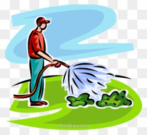 Man in red shirt and cap watering green shrubs with a garden hose under a blue sky.