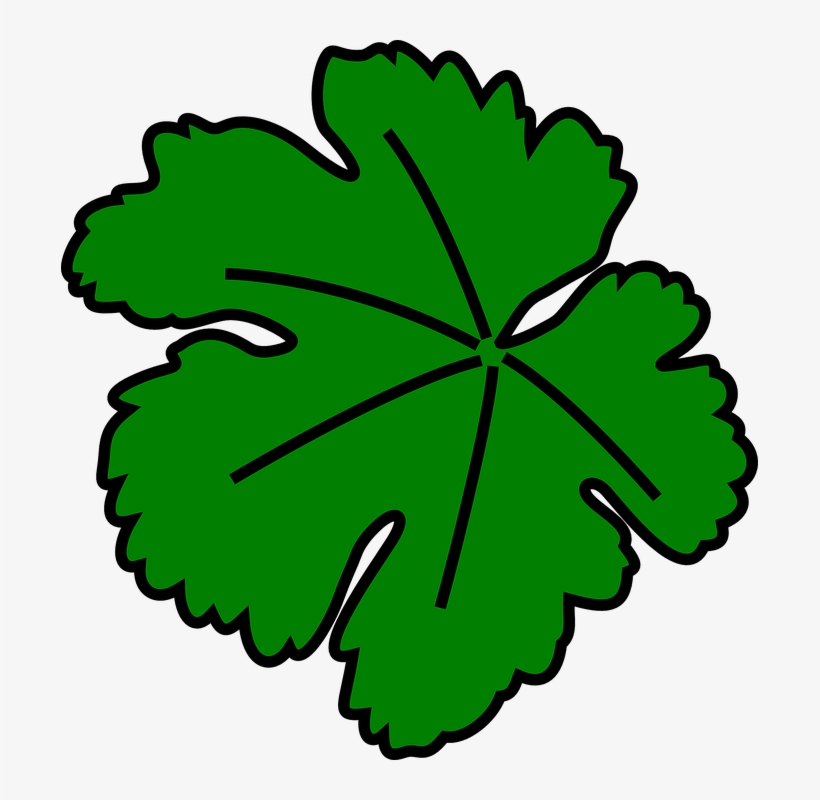 Epsom Mums - Grape Leaf Clip Art - Free Transparent Png Clipart - Clip 