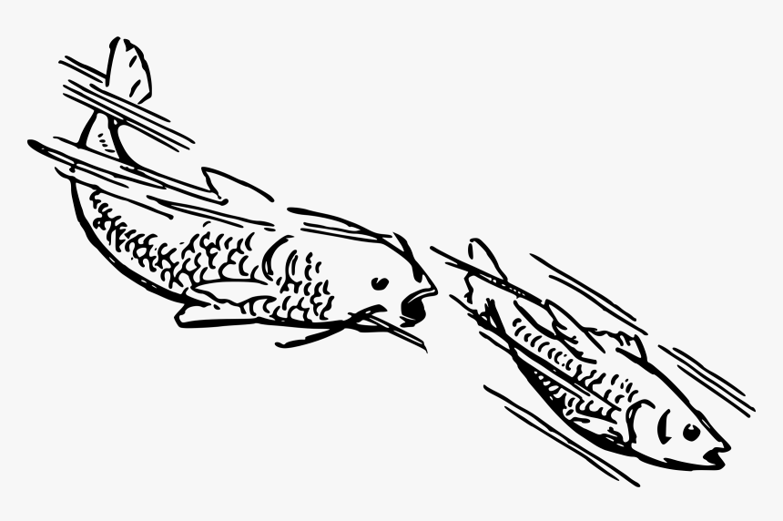 Two stylized fish racing side by side with motion lines, drawn in bold black ink on white background.