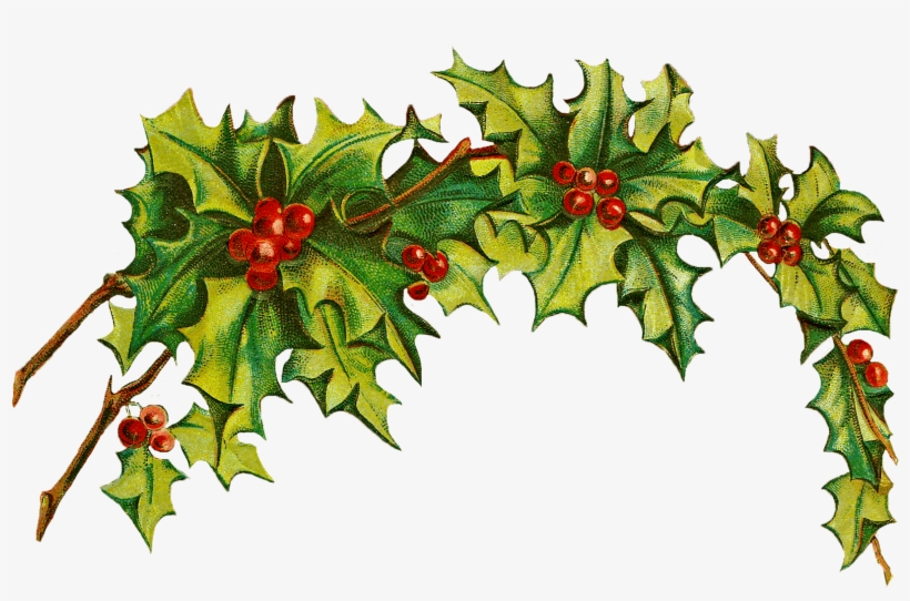 Classic Holly Clipart - Free Download for Holiday Designs