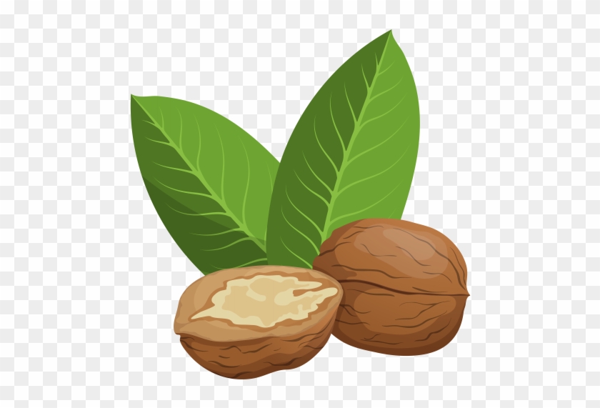 Two walnuts-one whole, one halved-showing creamy kernel, with two green leaves on transparent background.