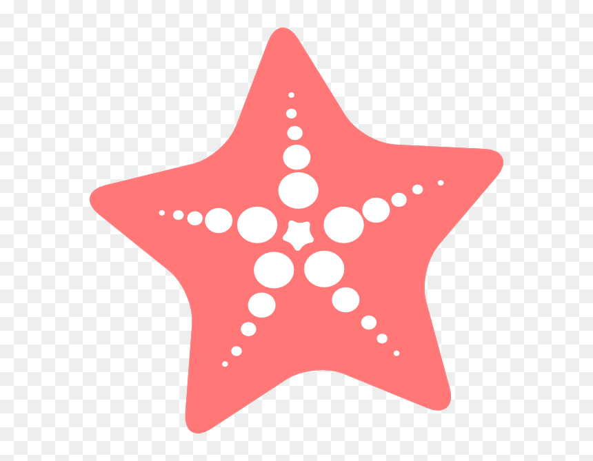 Pink starfish icon with white bubble pattern and central star detail on transparent background.
