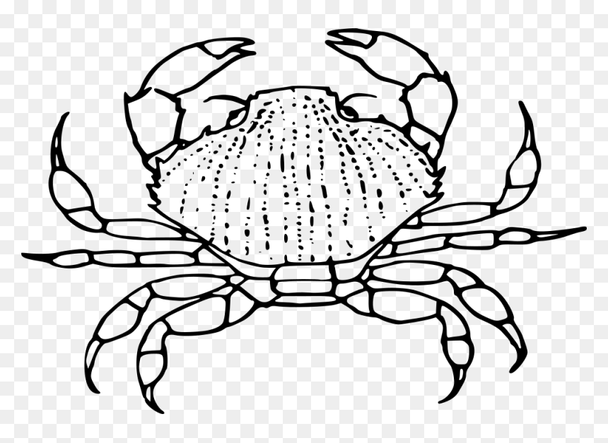 Crab Clip Art Black And White Clipart Image - Coloring Home - Clip Art