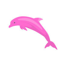 A stylized pink dolphin leaping mid-air, illustrated in smooth vector art with gradient shading and a playful pose.