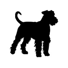Wire-Haired Terrier Silhouette - Breed Illustration & Info