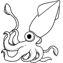 Squid Coloring Page for Kids - Free Printable Marine Animal Illustration