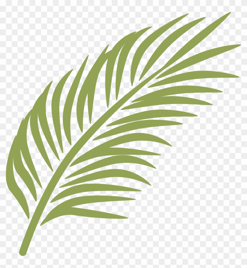 Stylized green palm frond illustration on transparent background, ideal for tropical or nature-themed designs.