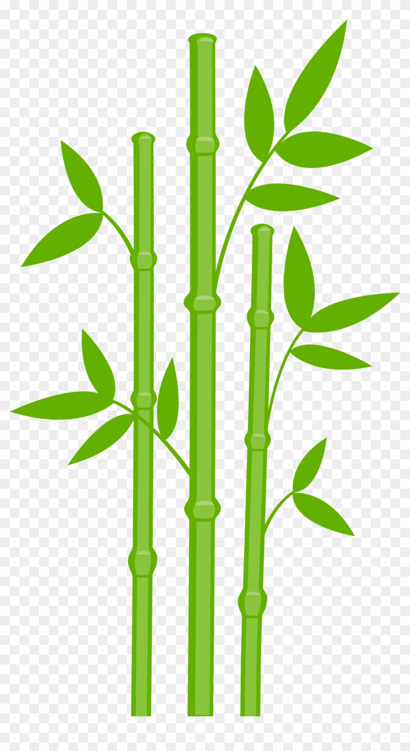 Green bamboo stalks with leaves on transparent background, stylized vector illustration.