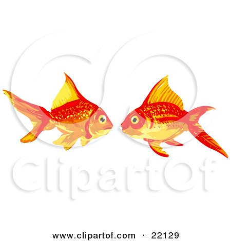 Goldfish Illustration - Clipart for Education, Design & Print