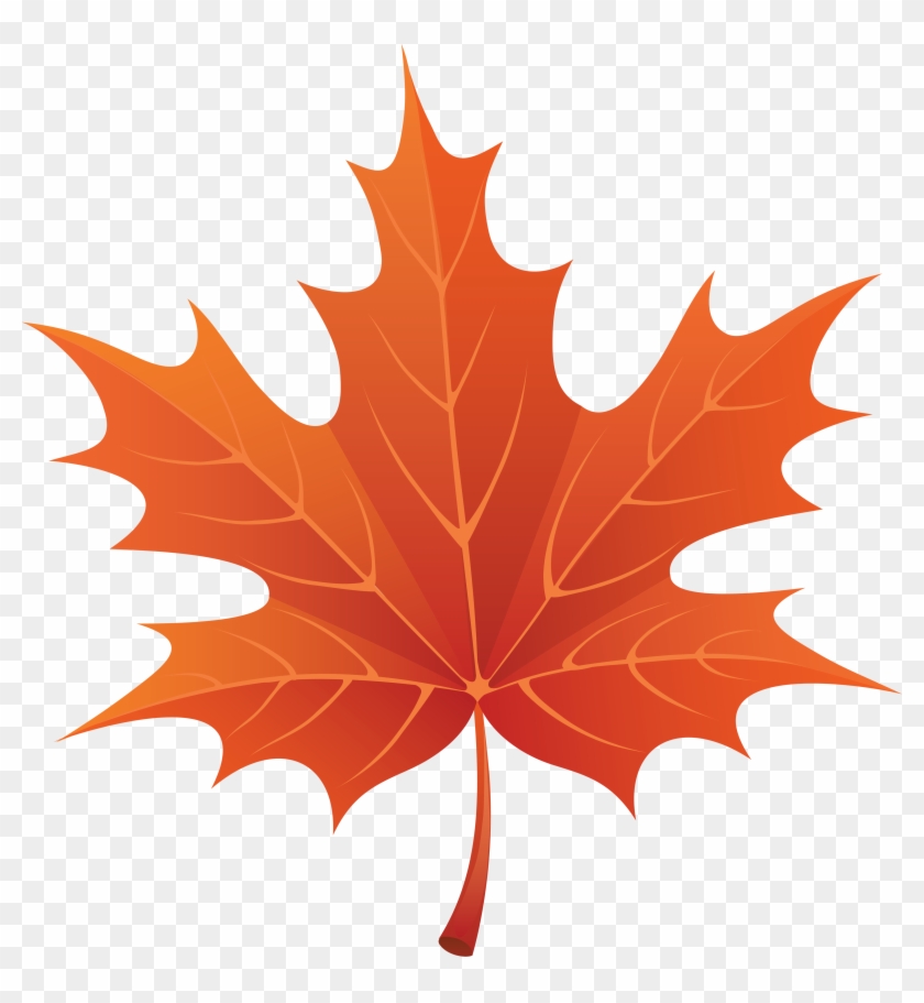 12+ Maple Leaf Clipart! - The Graphics Fairy