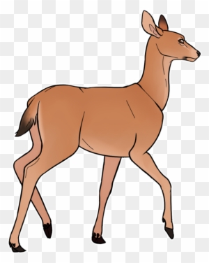 A side-profile illustration of a young brown deer with black hooves walking on a transparent background.