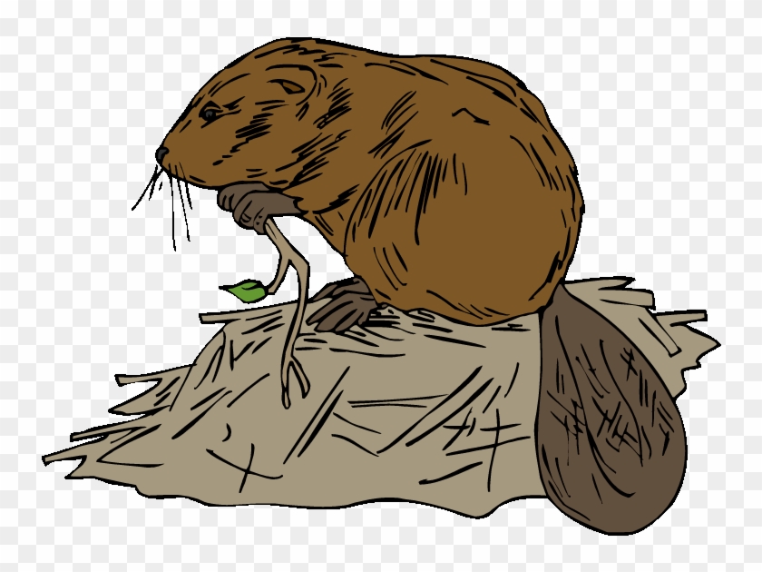 A cartoon-style beaver sitting on a log, holding a twig with a green leaf in its mouth, tail visible behind.