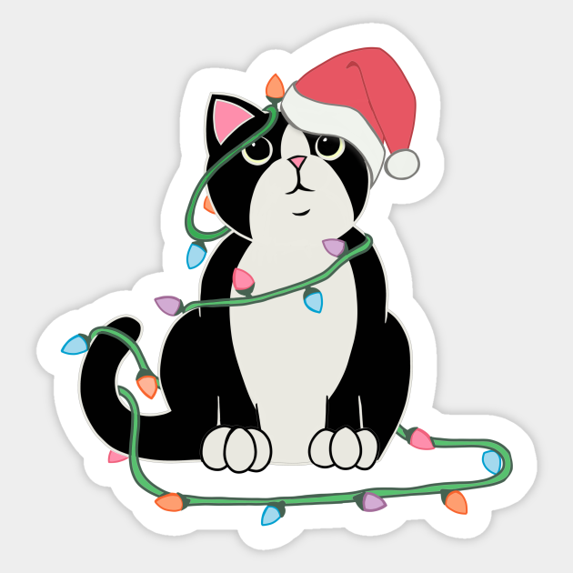 Free Tuxedo Cats, Download Free Tuxedo Cats Png Images, Free Cliparts 