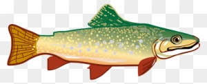 rainbow trout - Clip Art Library