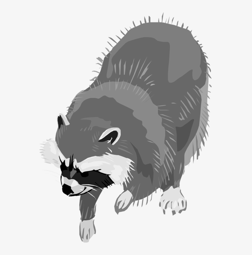 Raccoon Illustration - Free Grayscale Wildlife Clipart