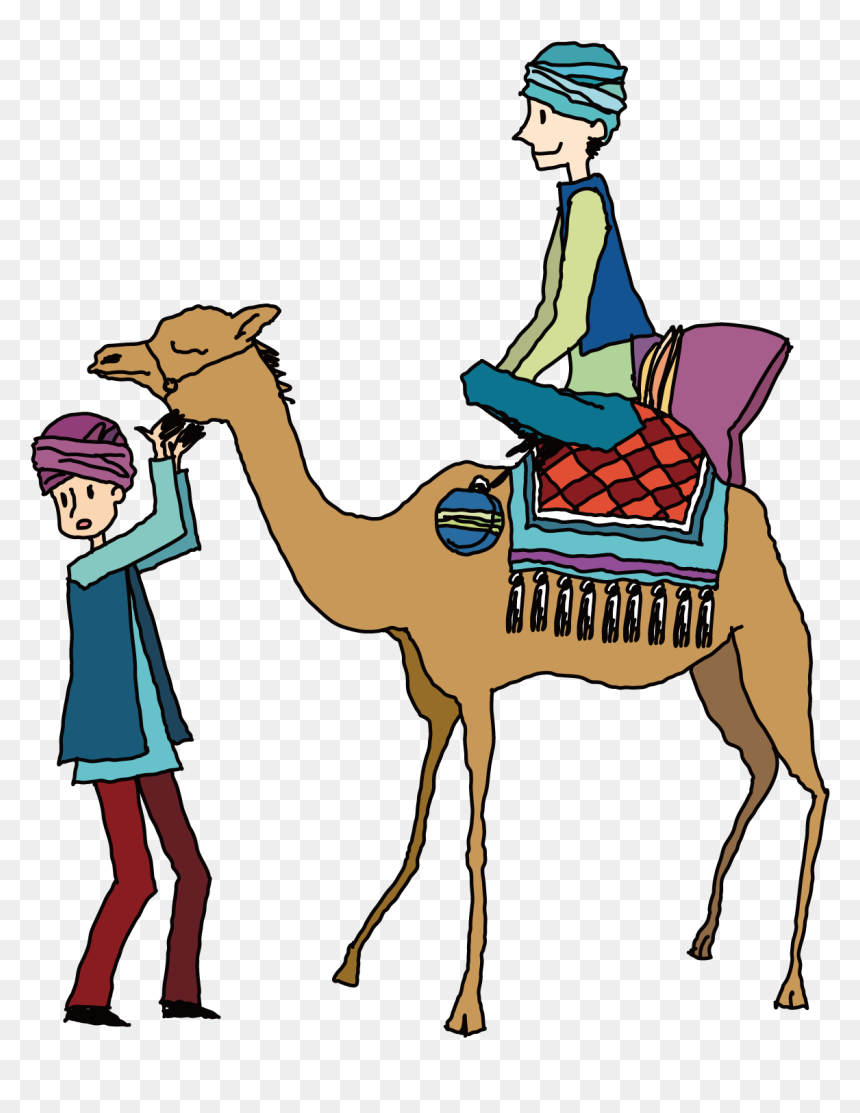 Premium Vector | Vector illustration of young people riding camels ...