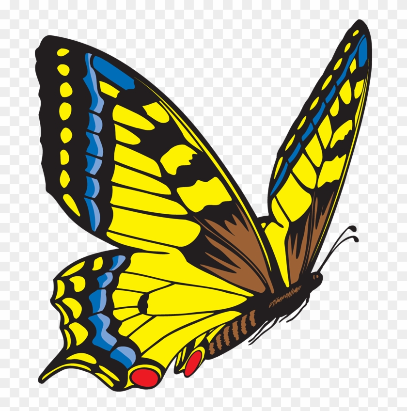 Vibrant yellow, blue, and black swallowtail butterfly with red spots on hindwings, illustrated in bold graphic style.