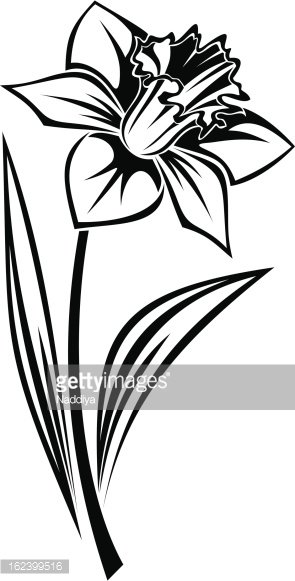 Narcissus PNG, Vector, PSD, and Clipart With Transparent - Clip Art Library