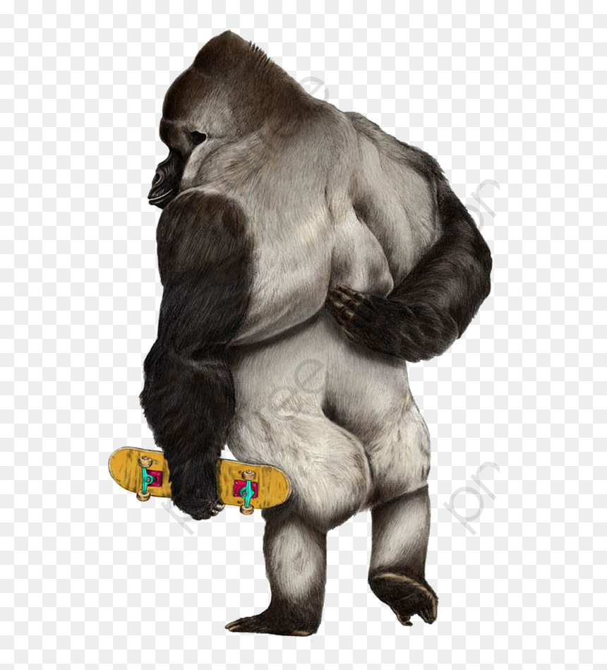 A realistic gorilla standing upright, holding a colorful skateboard with one hand, viewed from the side against a transparent background.