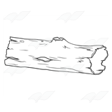 Sketch of a Wooden Log - Natural Texture Illustration