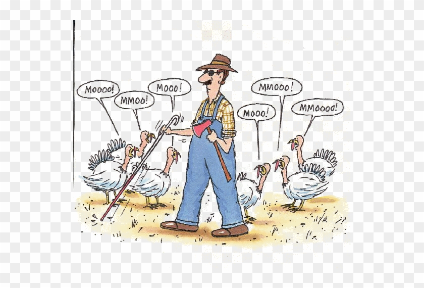 Farmer in overalls and hat herding noisy turkeys with a stick, speech bubbles saying "Moooo!"-a humorous farm cartoon.