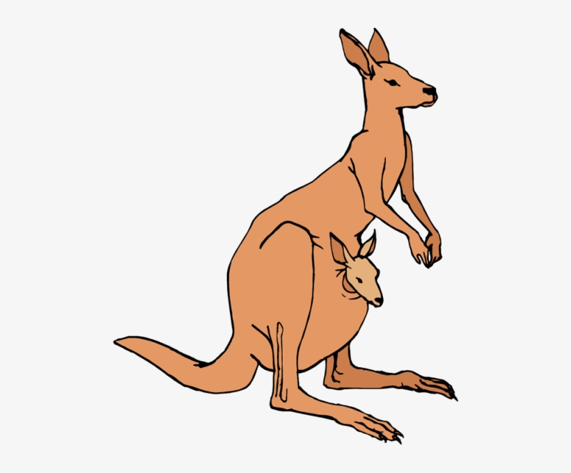 Free Kangaroo Clipart Clip Art Pictures Graphics Illustrations 2 Clip