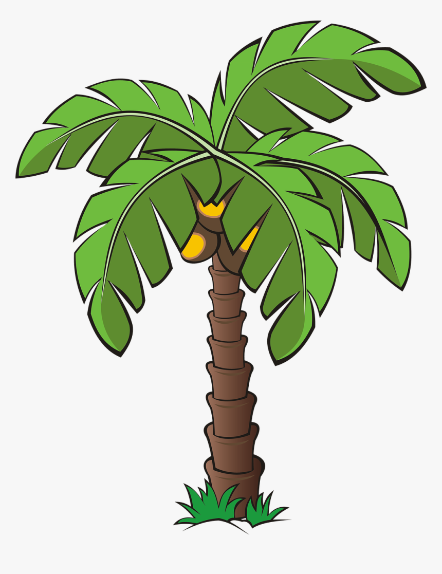 Palm Trees Clip Art Images – Browse 49,828 Stock Photos, Vectors - Clip Art  Library