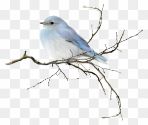 A delicate light blue bird perched on a bare branch against a transparent background.