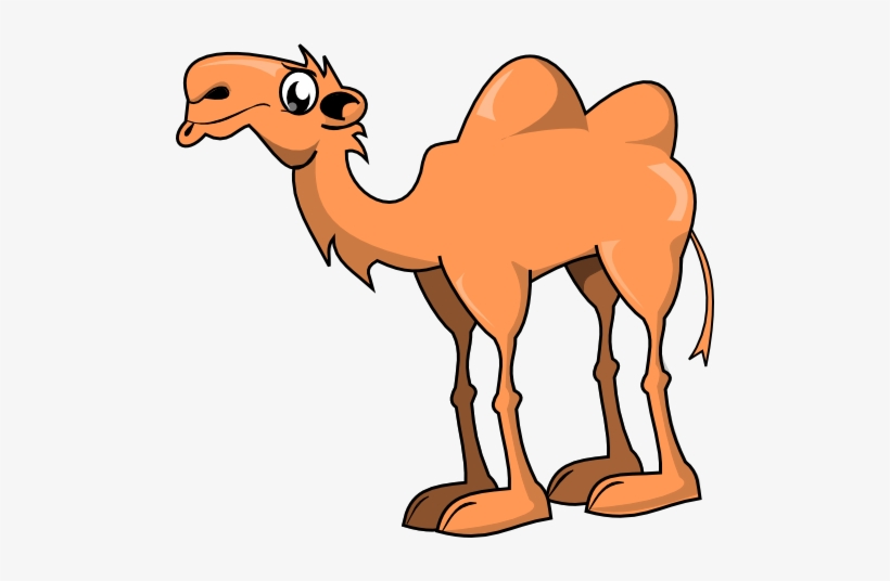 Friendly cartoon camel with one hump, orange body, and expressive eyes standing on white background.