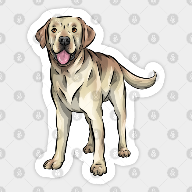 Labrador Retriever Illustration - Friendly Dog Sticker Art