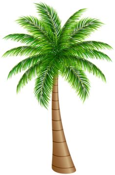 Palm Tree Illustration - High-Quality Clipart for Tropical Designs