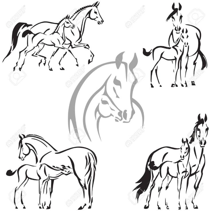 Black-and-white line art illustrations of horses and foals in various poses, including running, nursing, and standing together.