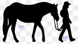 Walking a Horse Safely - Guide & Visual Reference