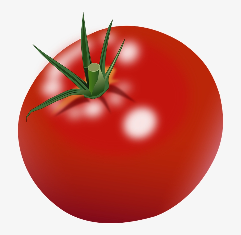 tomato-drawing-kamatis-vegetable-tomato-in-clip-art-transparent