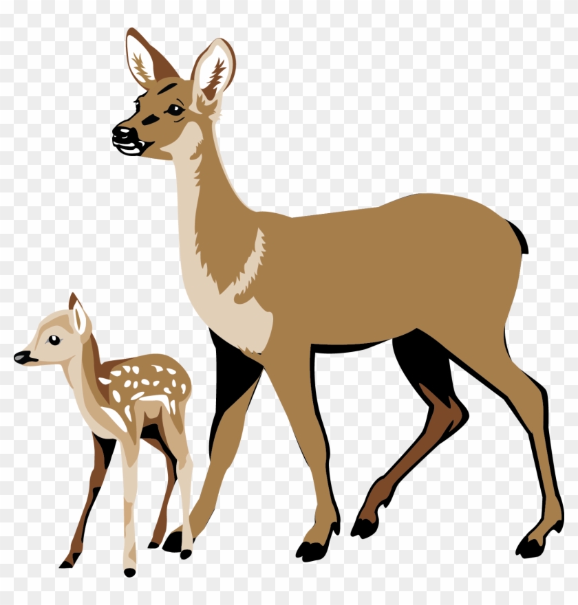 Deer Clipart : deer-02-112 | Animals, Deer, Whitetail deer - Clip Art ...