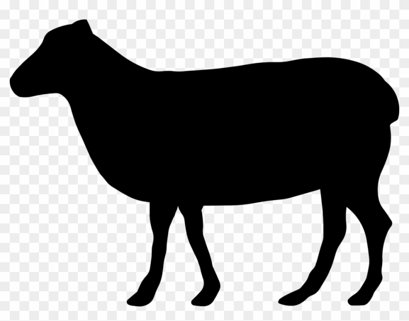 Black silhouette of a standing sheep in profile view on transparent background.