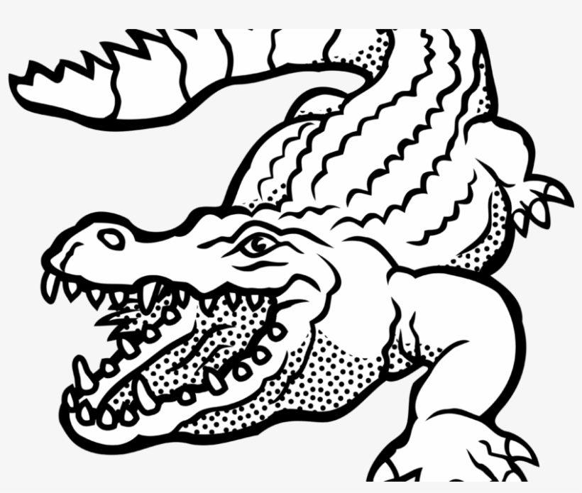 Black-and-white line art illustration of a roaring alligator with open jaws, detailed scales, and expressive eyes.