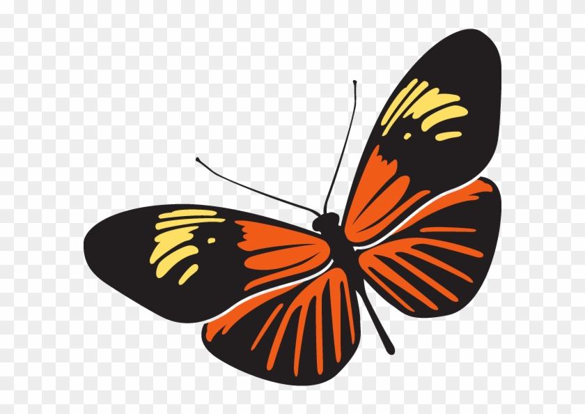 Stylized black butterfly with vibrant orange and yellow wing patterns on transparent background.