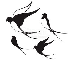 Four stylized black swallow silhouettes in flight against a white background, capturing dynamic motion and elegance.