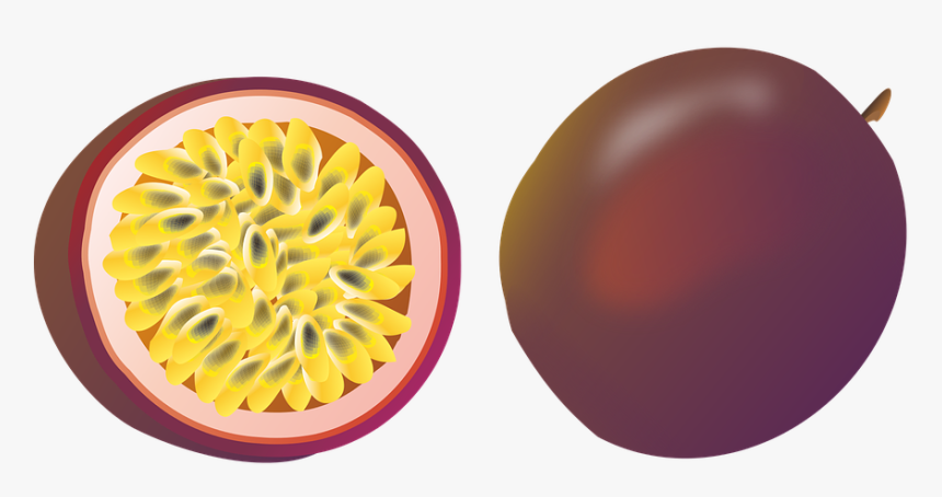 Passion Fruit Free PNG And Clipart Image For Free Download - Clip Art ...