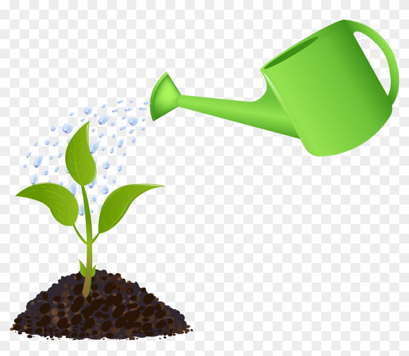 Watering Plants Guide - Essential Tips for Healthy Growth